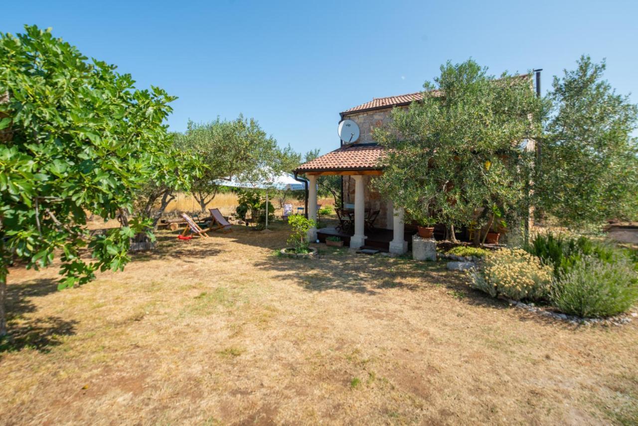 Villa Flaveico Pašman エクステリア 写真