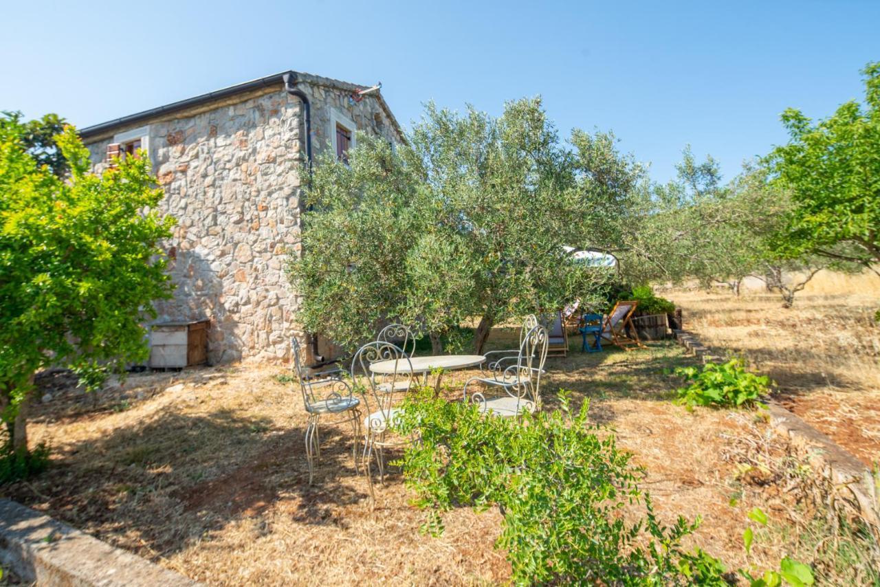 Villa Flaveico Pašman エクステリア 写真