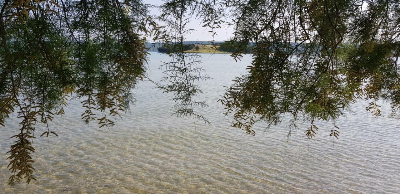 Villa Flaveico Pašman エクステリア 写真